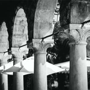 docotor-jelusic-working-time